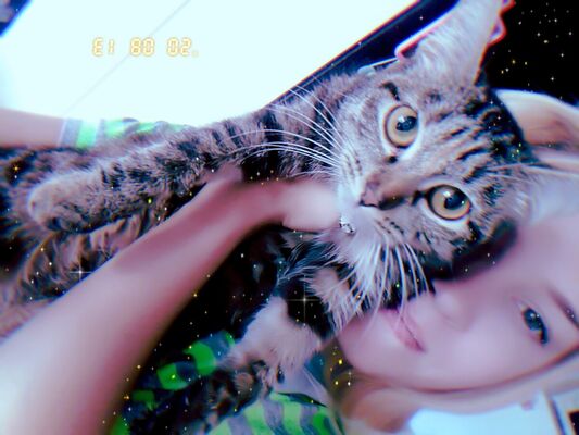  ,   , 26 ,     , c 