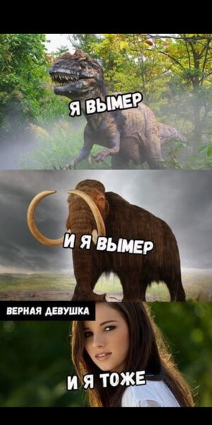  ,   M, 38 ,   ,   , c 