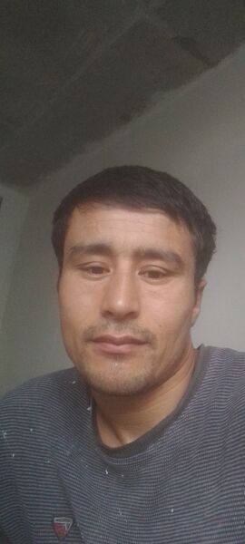  ,     , 29 ,   ,   