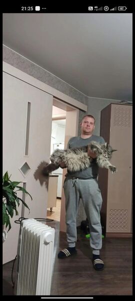  ,   , 41 ,   ,   