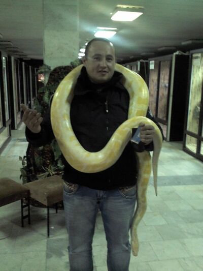  ,   , 41 ,   