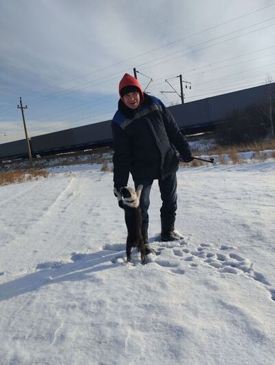  -,   Alexey, 44 ,   ,   
