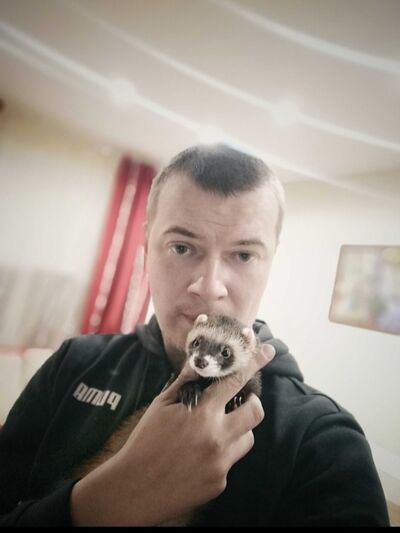  ,   , 41 ,   ,   