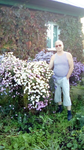  -,   , 74 ,   ,   , c 