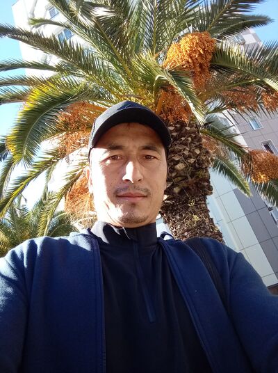  ,   Mimino, 34 ,   ,   