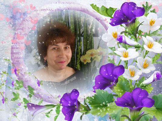  --,   , 65 ,  