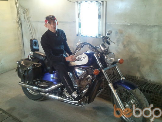  ,   Art, 40 ,  