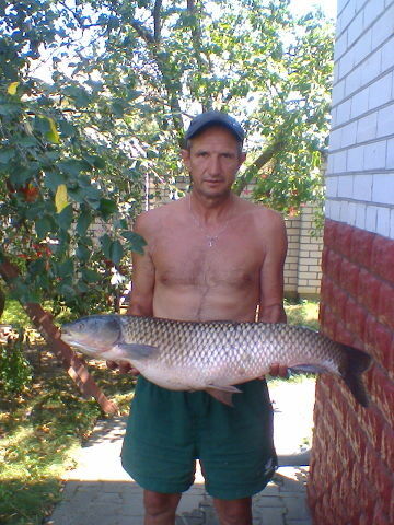  ,   , 60 ,   ,   , c 