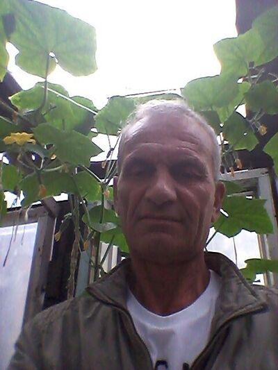  ,   , 71 ,  