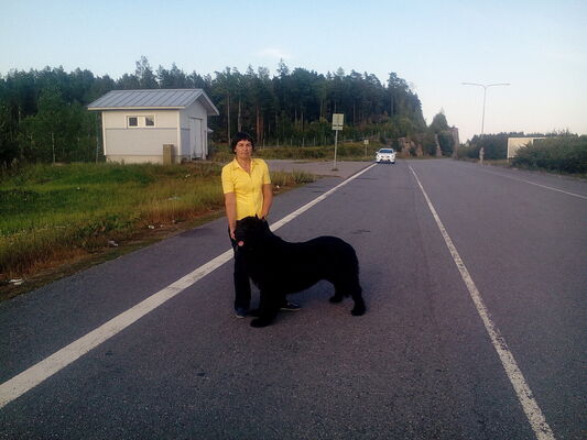  ,   , 66 ,   ,   , c 