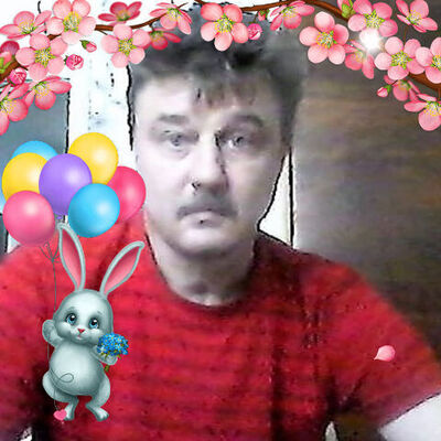   ,   , 55 ,   ,   
