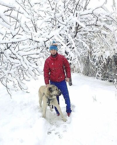  ,   Boroda, 33 ,   ,   