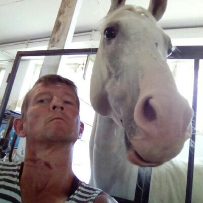  ,   , 52 ,  