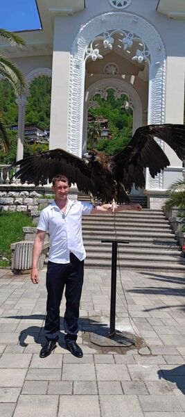  ,   Popov, 33 ,   ,   