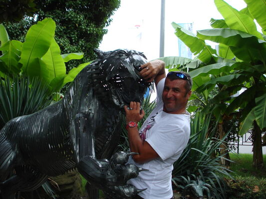  ,   , 53 ,   ,   , c 