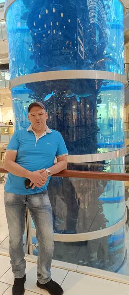  ,    , 43 ,   ,   