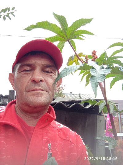  ,   , 50 ,     , c , 