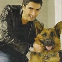  --,   Dima, 41 ,   ,   , c 