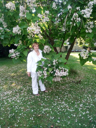  Bad Rappenau,   Iuliarosca, 58 ,   ,   , c 