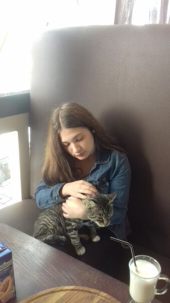  ,   Mironyak ira, 24 ,   ,   , c 
