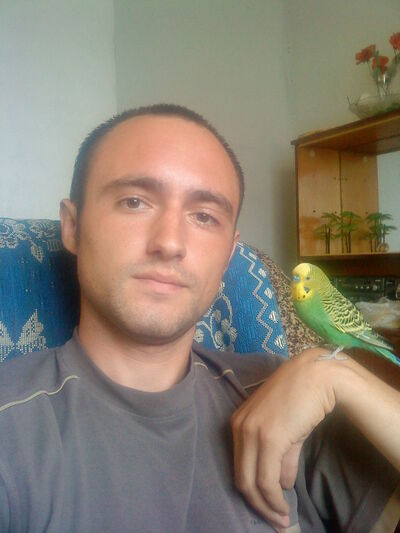  -,   Aleksandr, 36 ,   ,   , c 