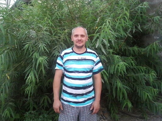   ,   , 51 ,   