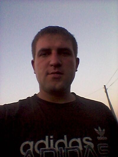  ,   Vitek, 34 ,   