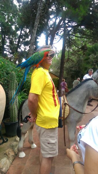  ,   Sergei, 60 ,   ,   , c 