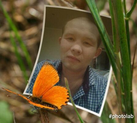  ,   , 37 ,   ,   , c , 