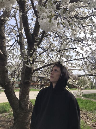  -,   , 22 ,   ,   