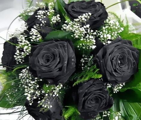  ,   , 49 ,     , c , 