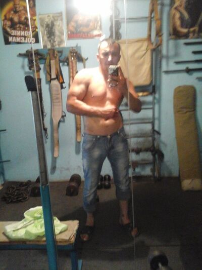  ,   Volk, 51 ,   