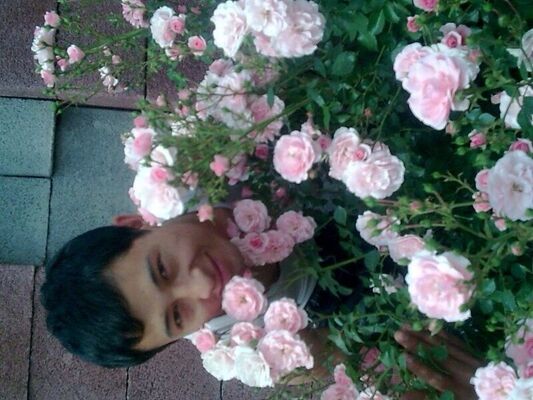  ,   Dima, 41 ,   ,   , c 