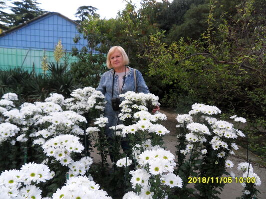  ,   , 65 ,   ,   , c 