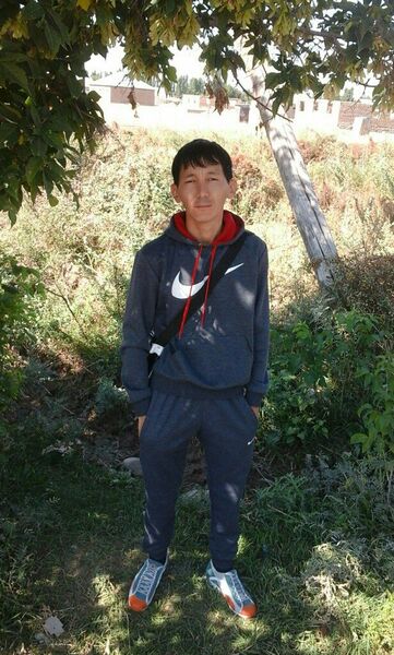  ,   Saken, 38 ,   ,   