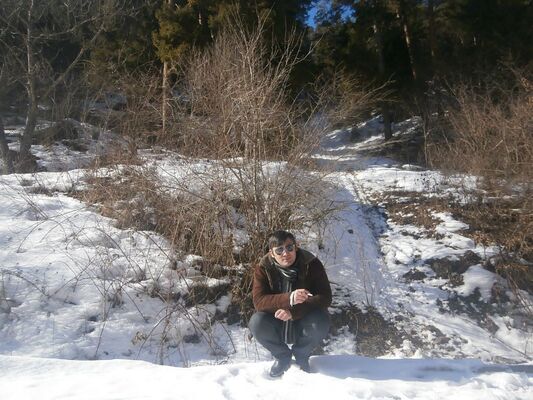  ,   Ramaz, 43 ,   ,   