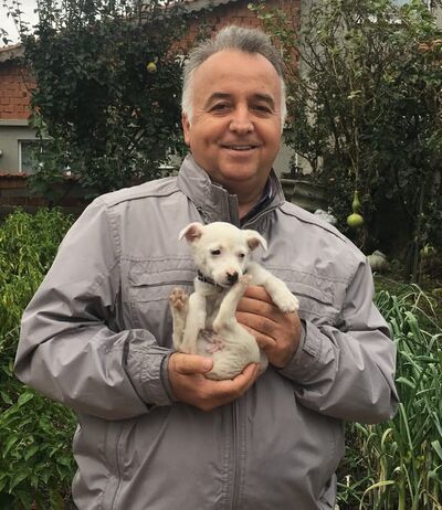  ,   Gabriel, 56 ,   c 