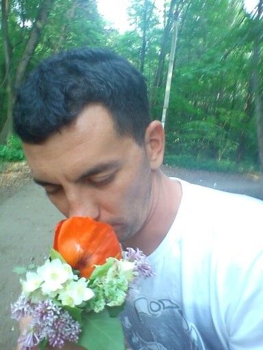 ���������� ���������, ���� ������� ����, 40 ���, ������������ ��� ������, ����� � ���������, c�������� ���������