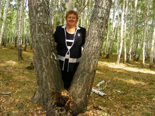  ,   , 62 ,  