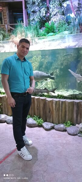  ,   Yorjany, 31 ,   ,   