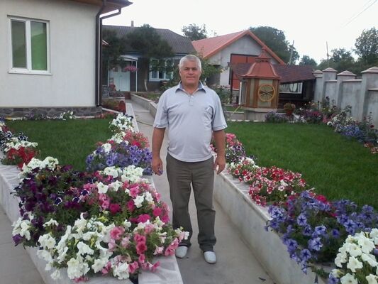  ,   , 66 ,   ,   , c 