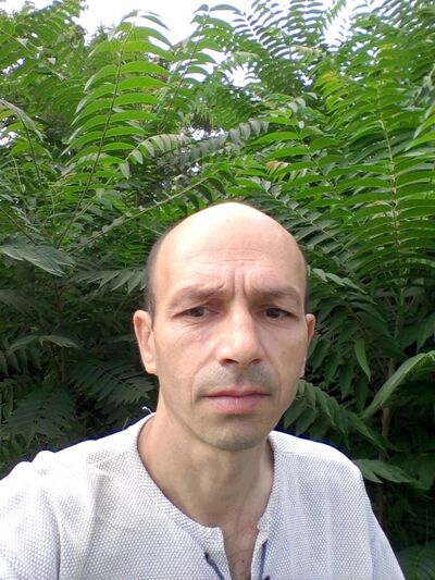  ,   , 55 ,   