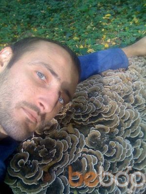 ���������� �����������, ���� ������� ����, 43 ����, ������������ ��� ������, ����� � ���������, c�������� ���������