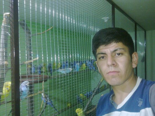 ,   Menexx, 35 ,   ,   , c 