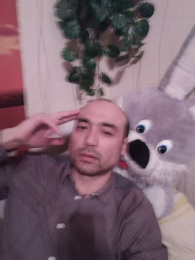  -,   Ilyar, 40 ,     , c 