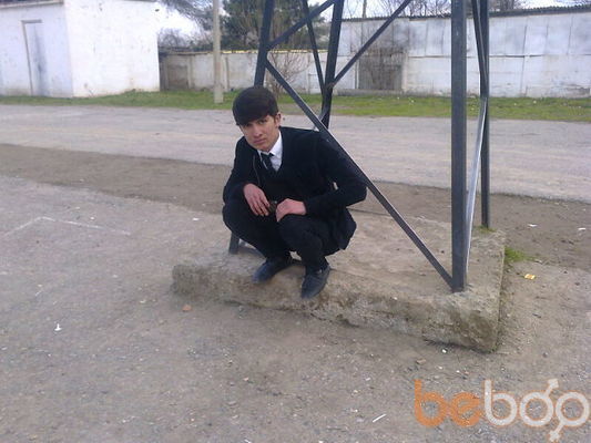 ���������� �������, ���� ������� Aminjon leo, 34 ����, ������������ ��� ������, ����� � ���������, c�������� ���������