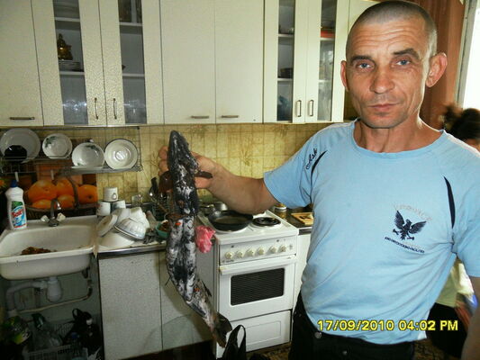  ,   , 53 ,   ,   , c 