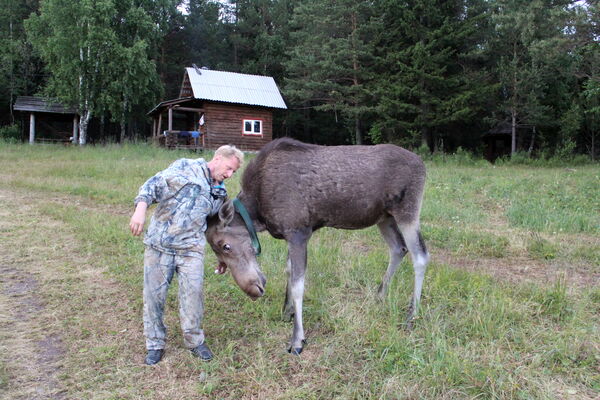  ,   BORIS, 54 ,   ,   , c , 