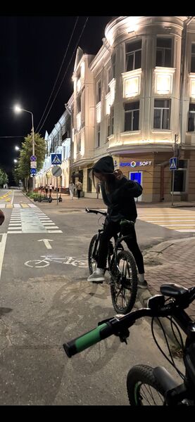  ,   Lena, 43 ,     , c 