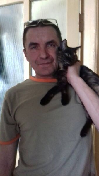  ,   , 55 ,   